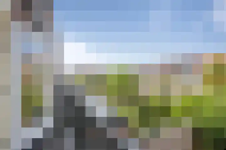 Marnixstraat 160 Haarlem thumbnail 47