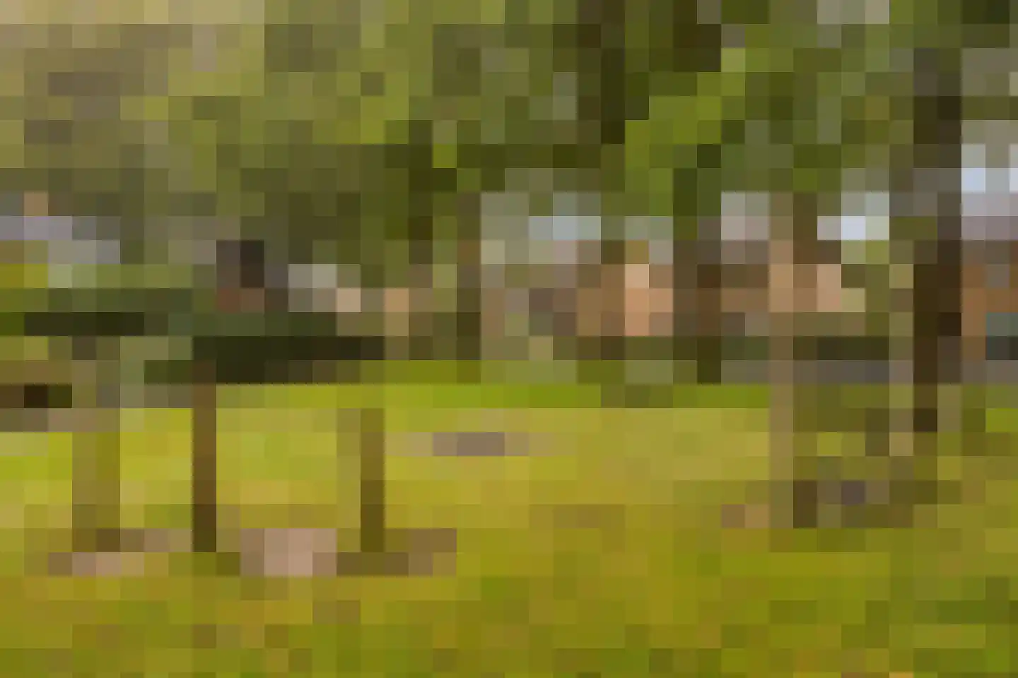 Marnixstraat 25 Etten-Leur thumbnail 34