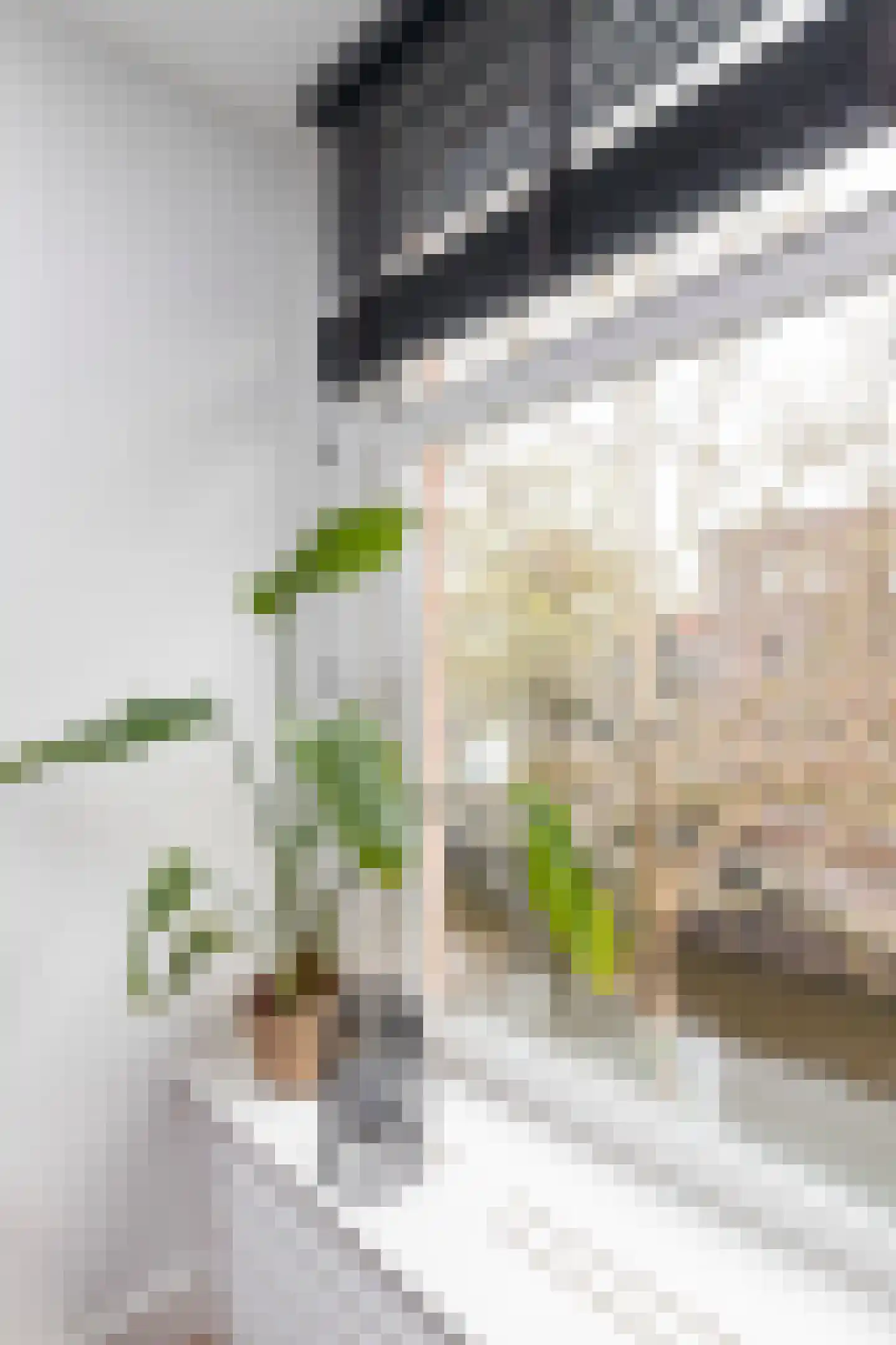 Marnixstraat 271 3 Amsterdam thumbnail 15