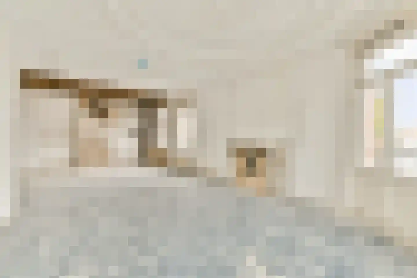 Marnixstraat 305 2 Amsterdam thumbnail 9