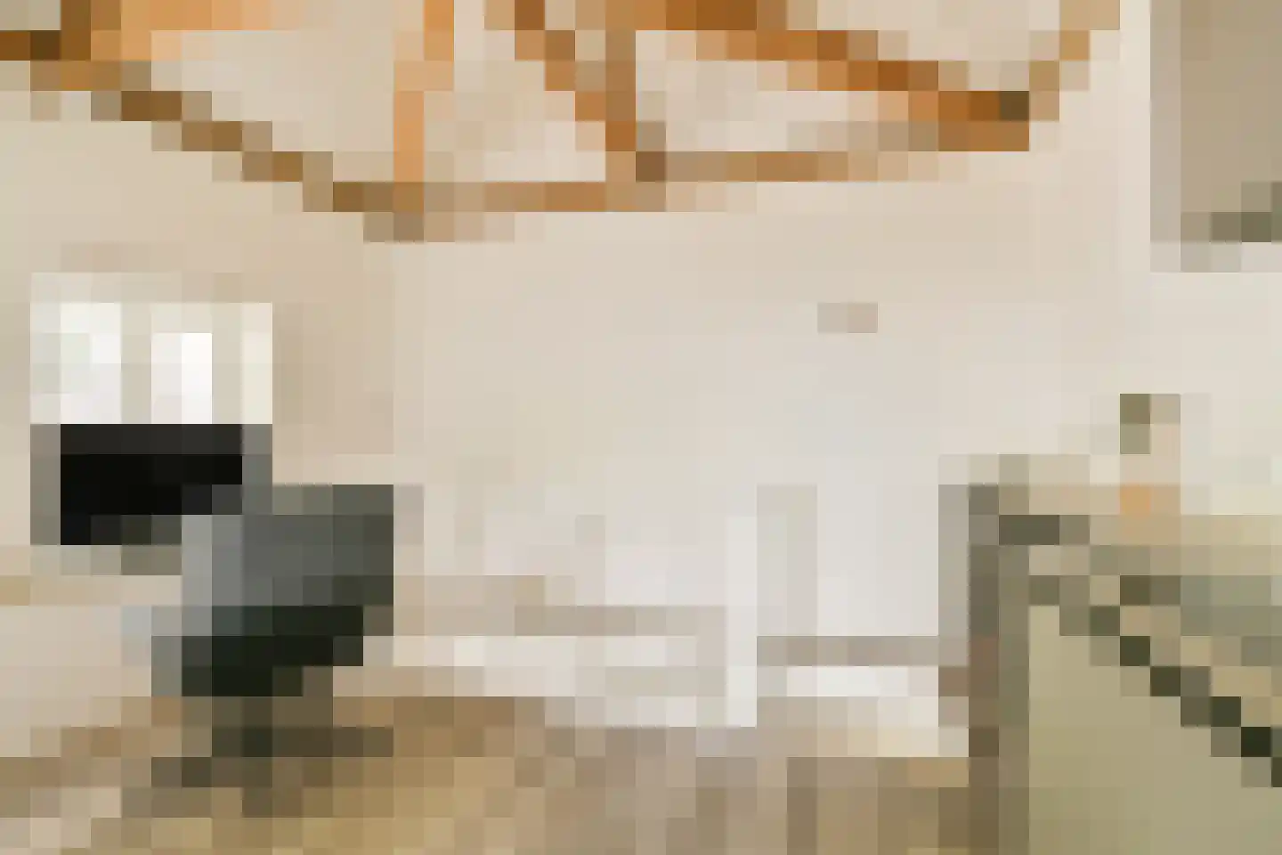 Marnixstraat 315 Amsterdam thumbnail 6