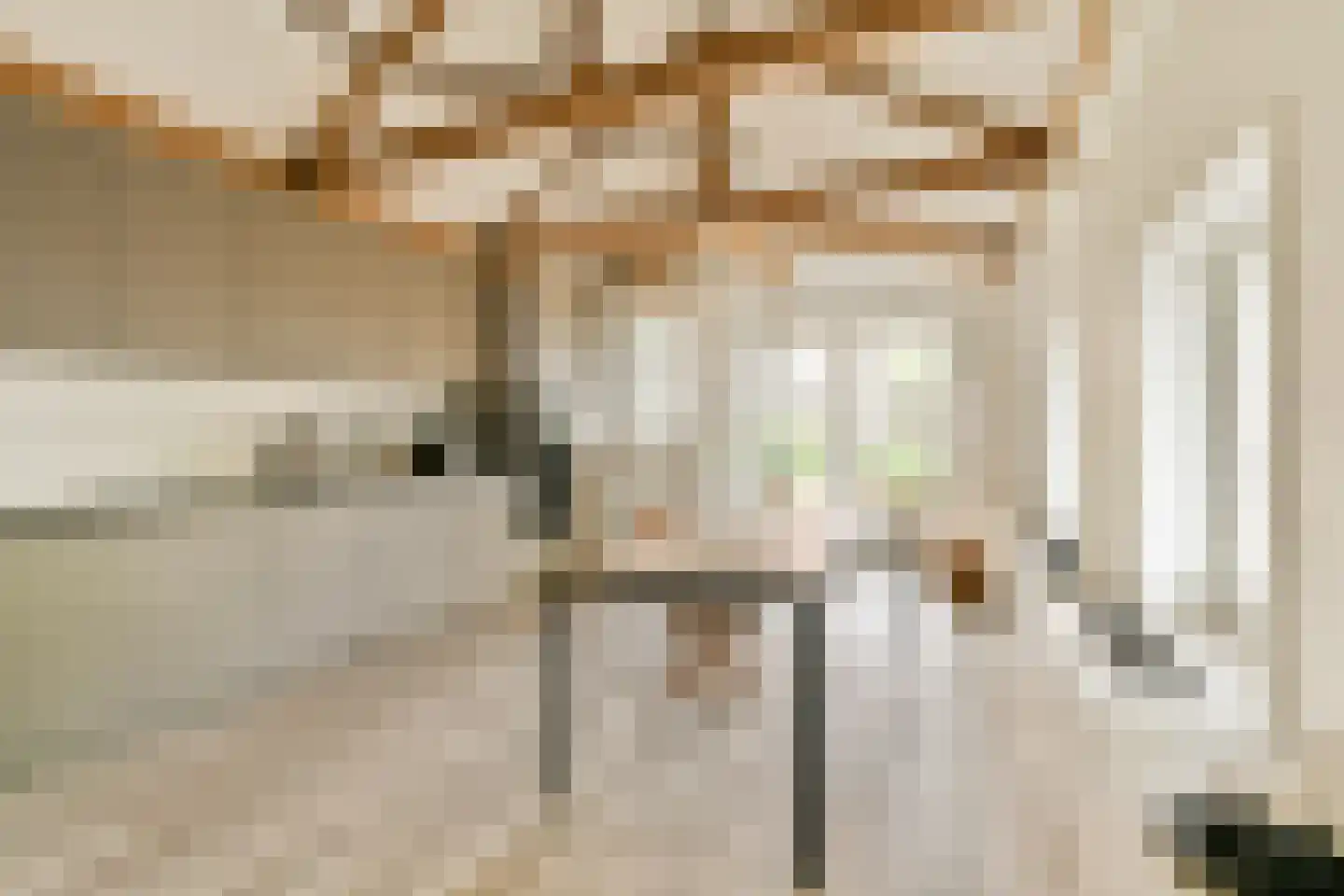 Marnixstraat 315 Amsterdam thumbnail 9