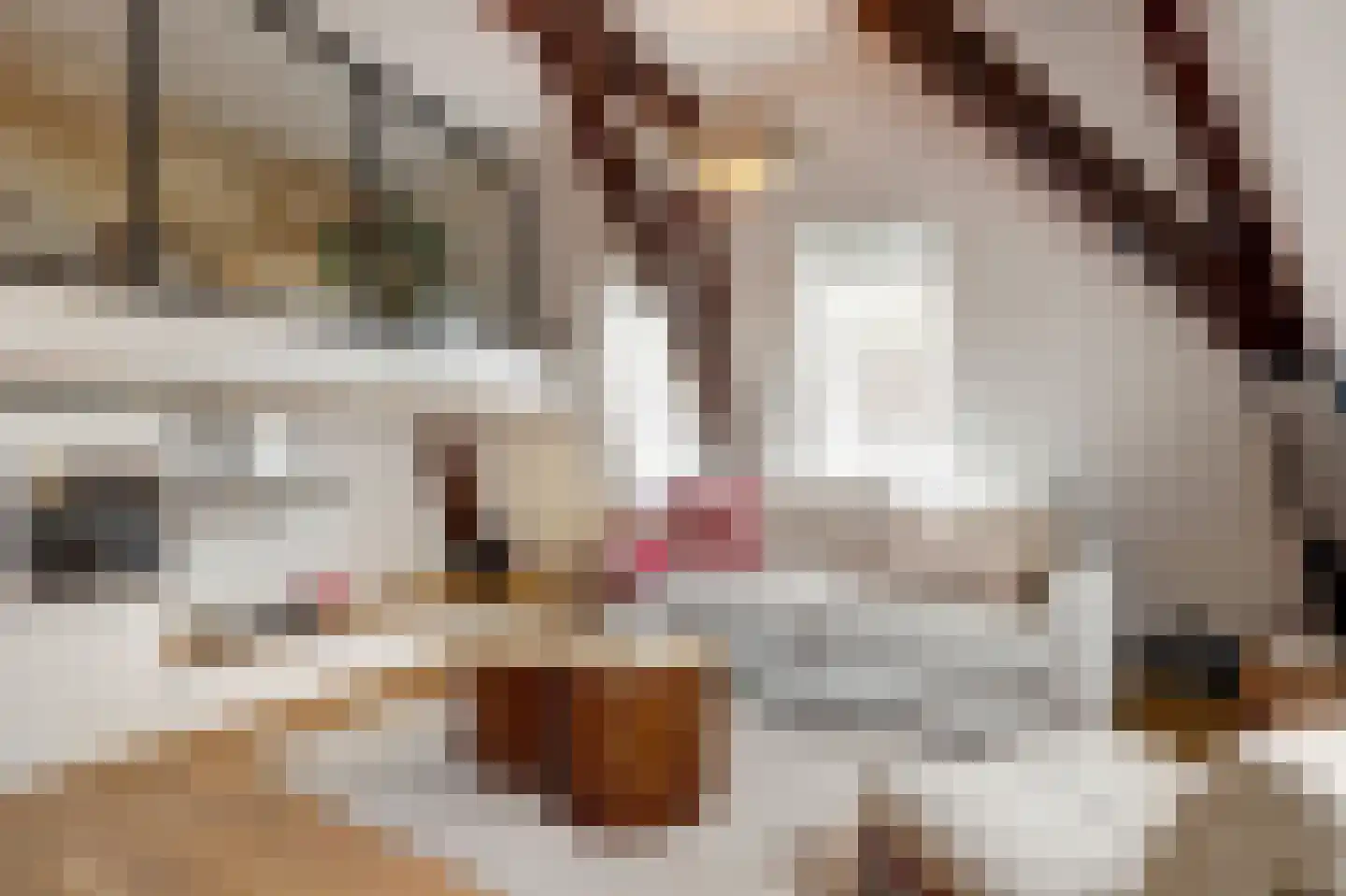 Marnixstraat 315 D Amsterdam thumbnail 21