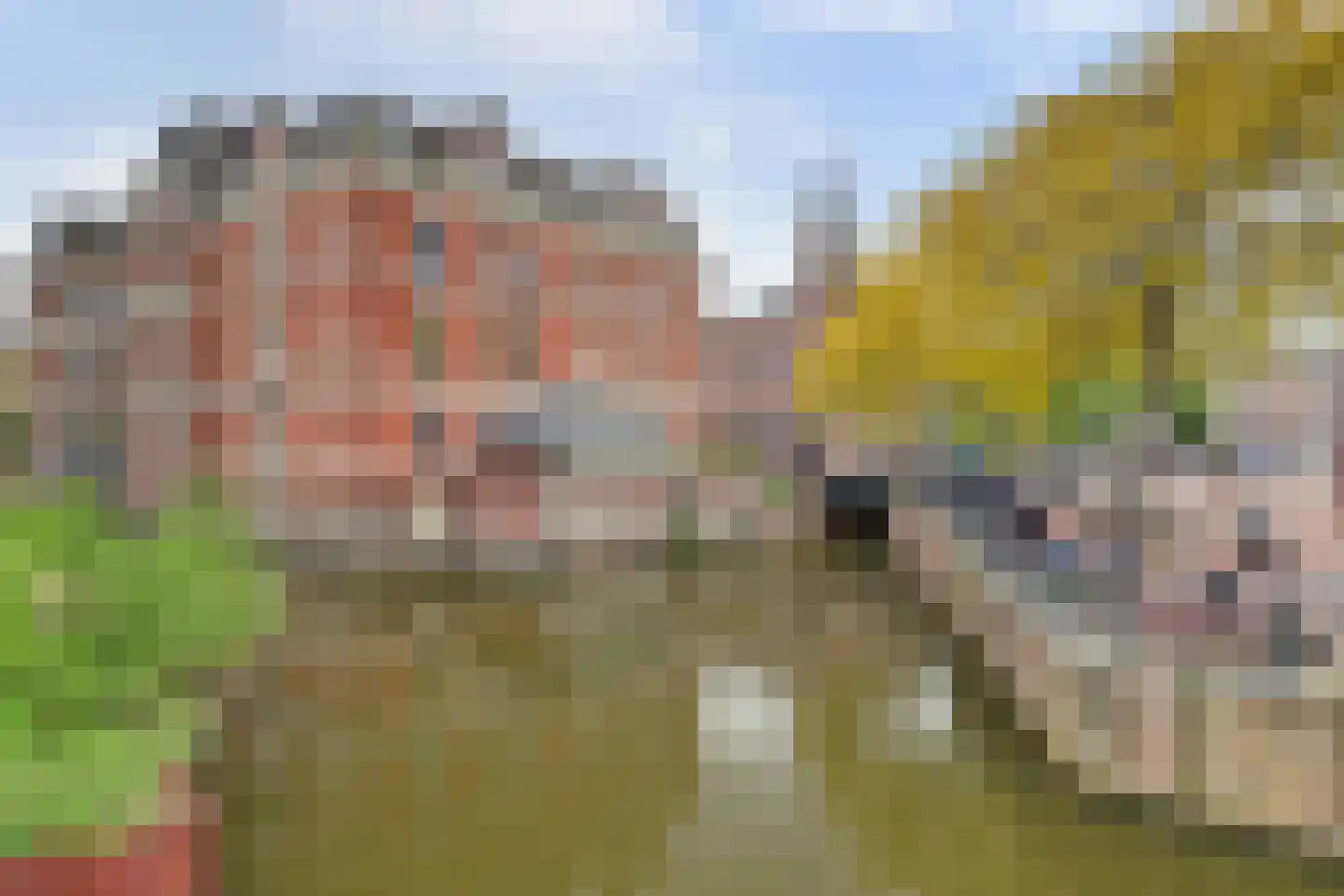 Marnixstraat 315 D Amsterdam thumbnail 37