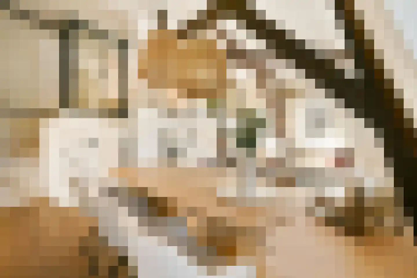 Marnixstraat 315 D Amsterdam thumbnail 7