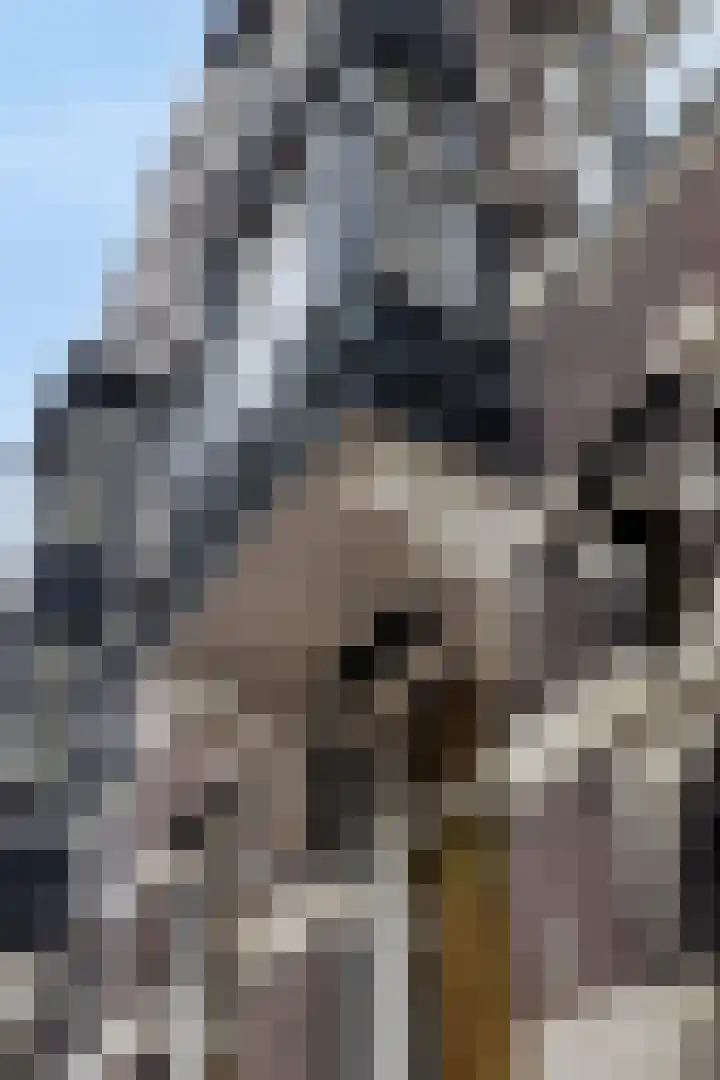 Marnixstraat 352 3 Amsterdam thumbnail 7