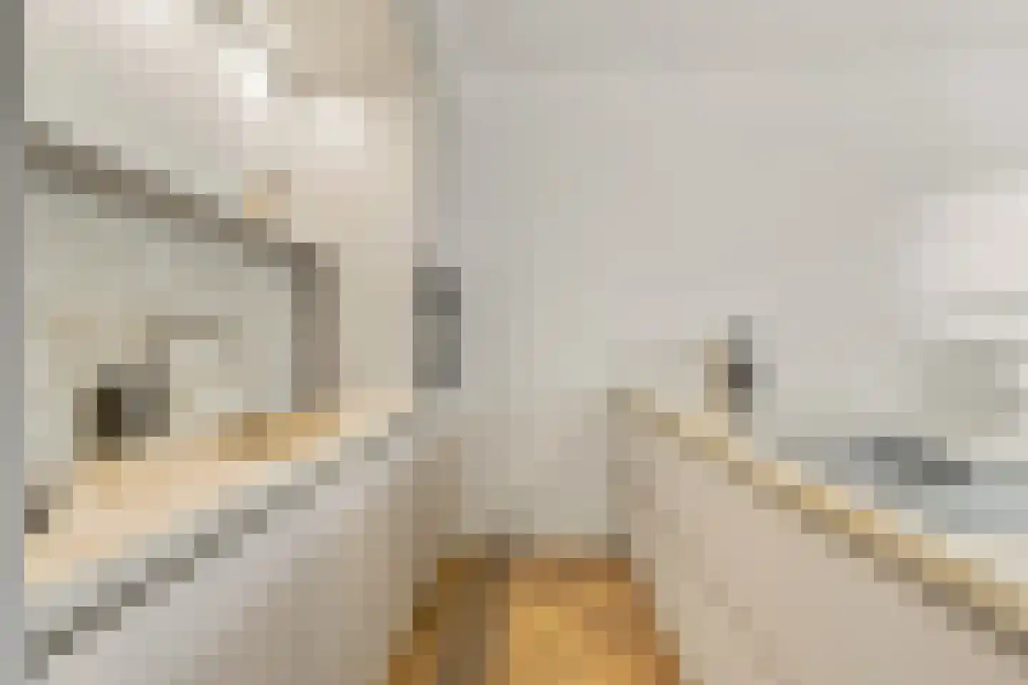 Marnixstraat 370 2 Amsterdam thumbnail 7