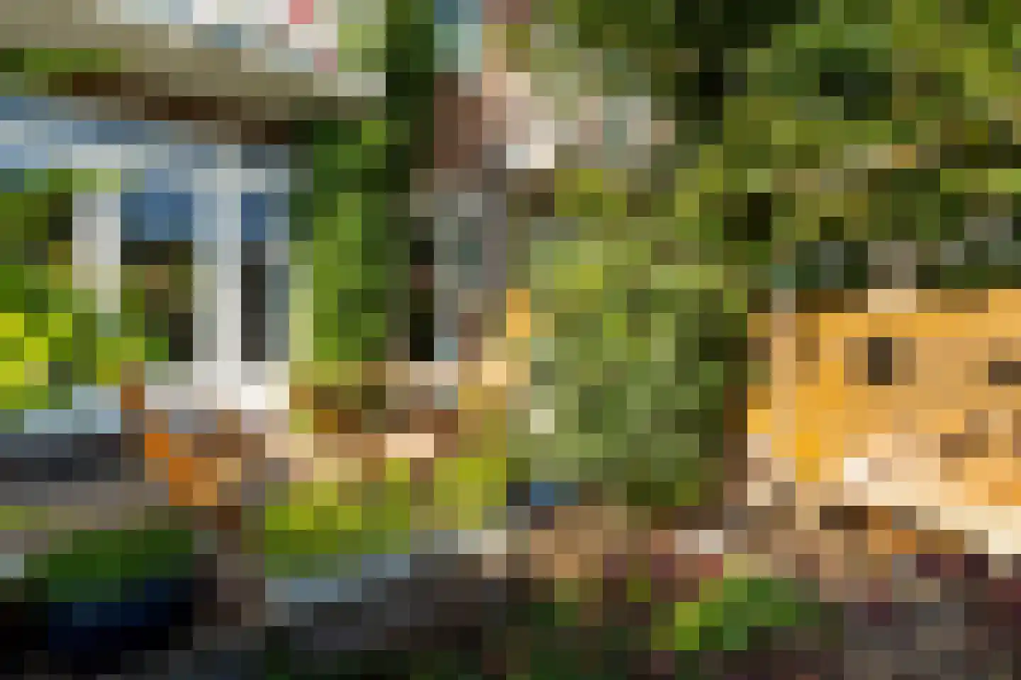 Marnixstraat 4 Dordrecht thumbnail 56