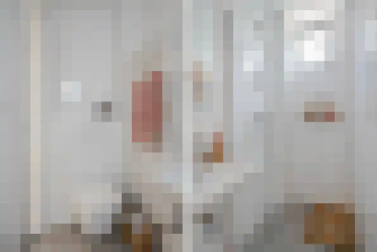 Marnixstraat 48 1R Amsterdam thumbnail 10