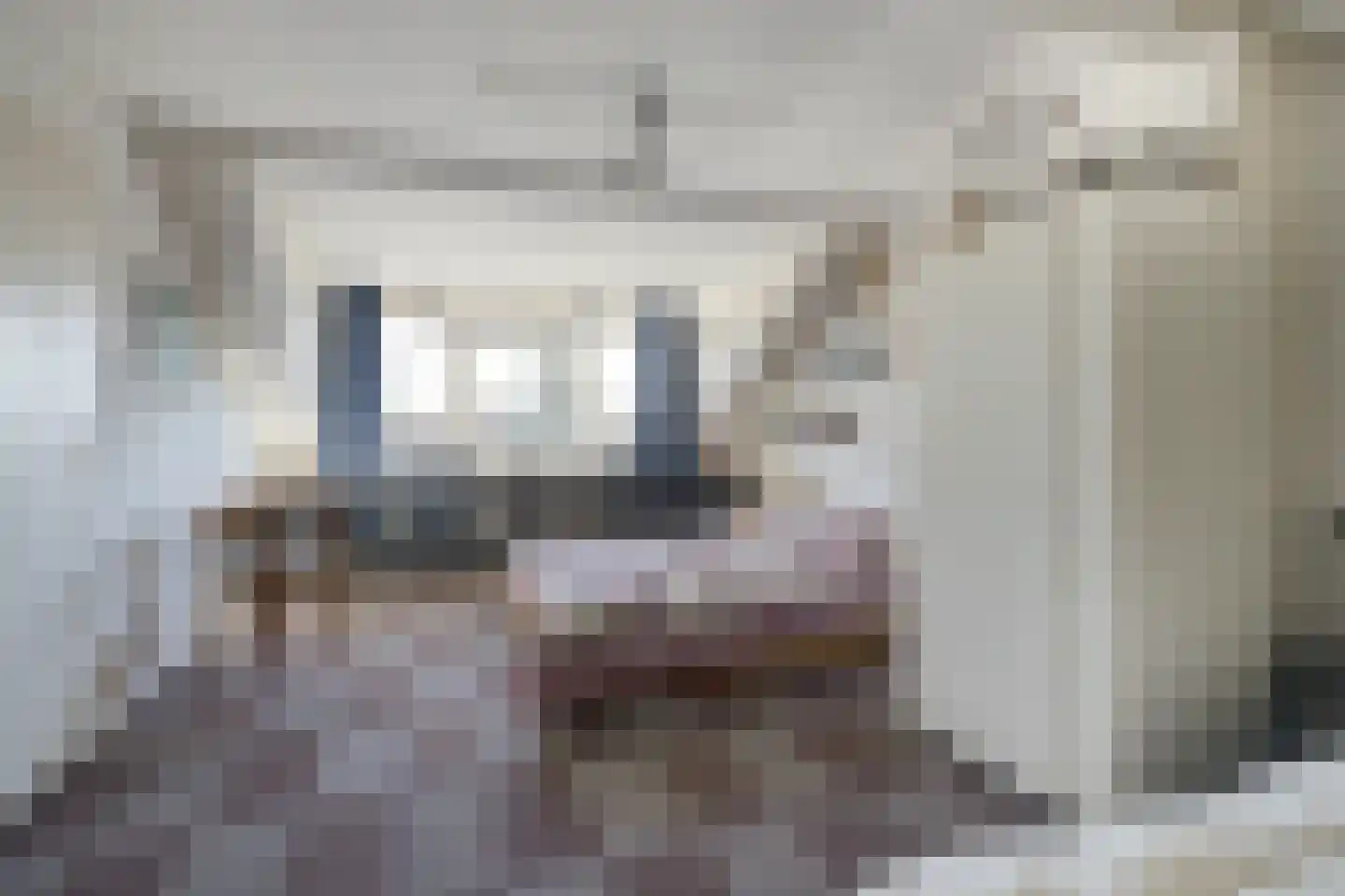 Marnixstraat 5 Etten-Leur thumbnail 34