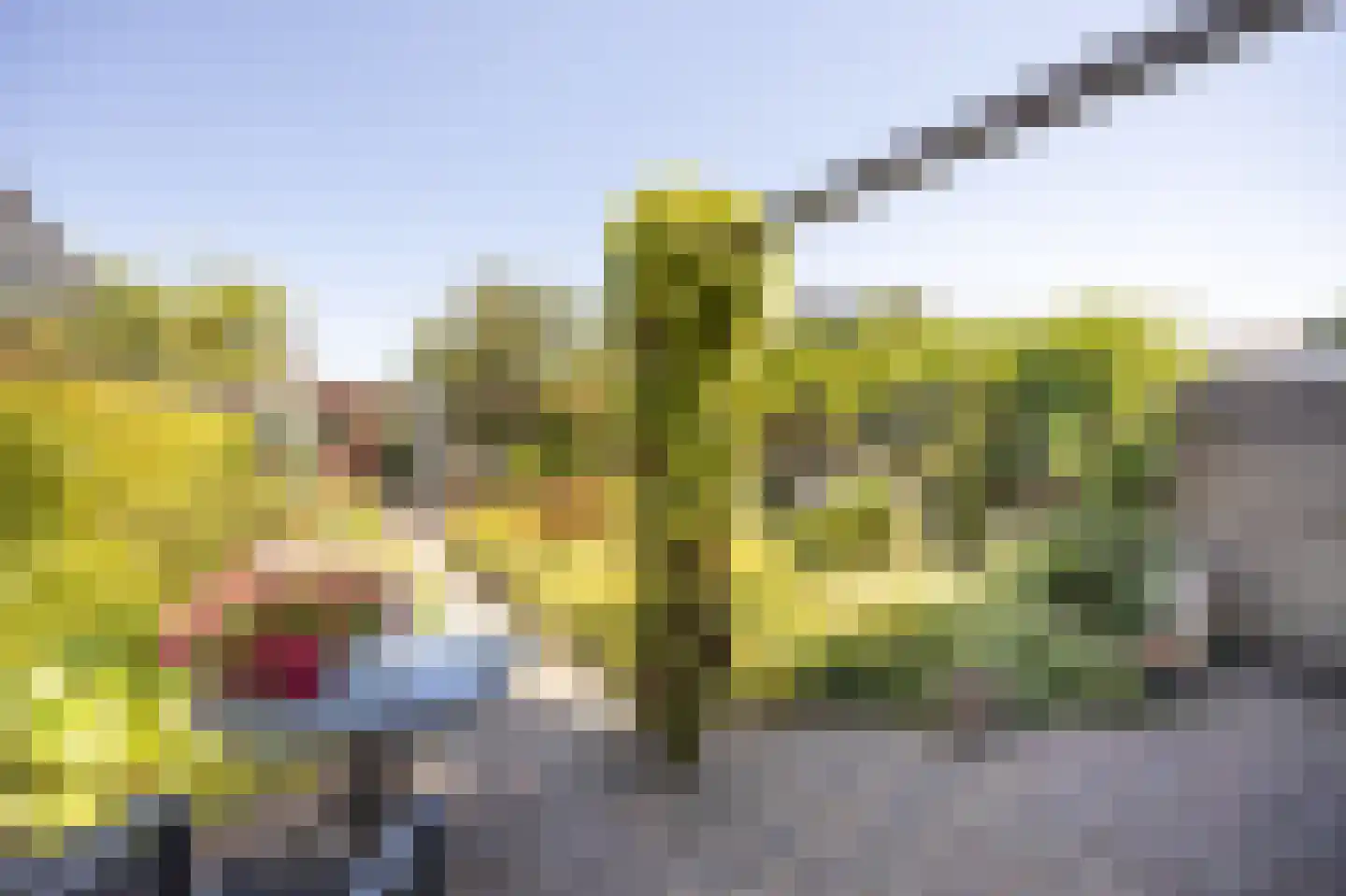 Marnixstraat 5 Etten-Leur thumbnail 36
