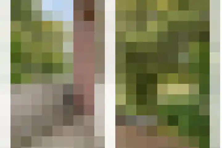 Marnixstraat 75 Alphen aan den Rijn thumbnail 10
