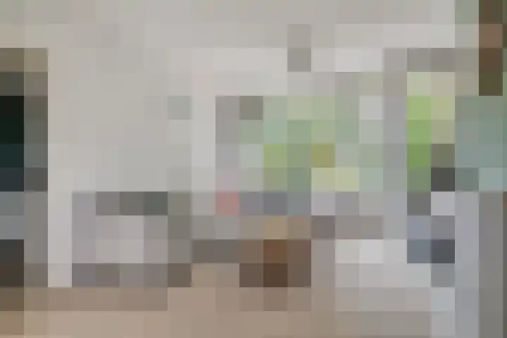 Marnixstraat 75 Alphen aan den Rijn thumbnail 8