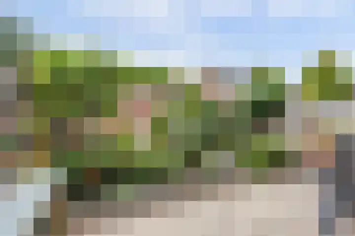 Maroc 11 De Lier thumbnail 21