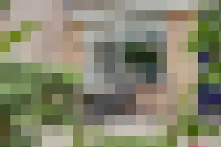 Maroc 11 De Lier thumbnail 24
