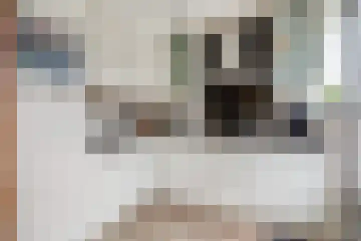 Maroc 11 De Lier thumbnail 5