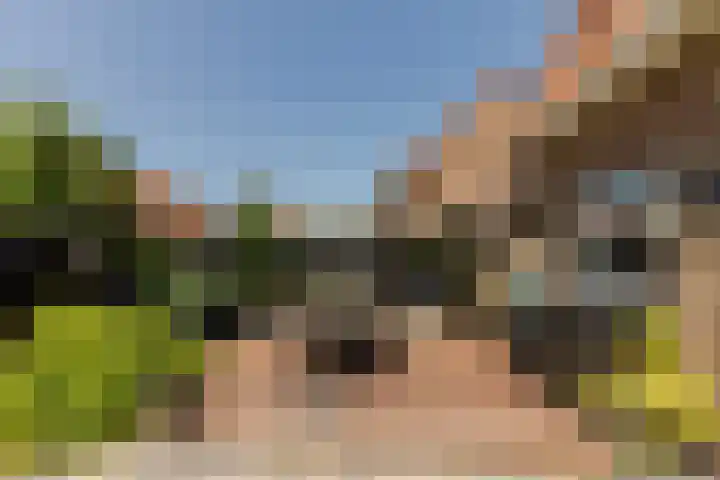 Marocstraat 31 Naaldwijk thumbnail 5