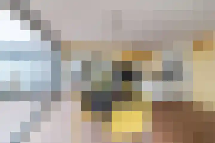 Marotplan 6 Zoetermeer thumbnail 42