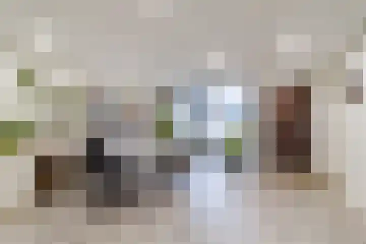 Marotplan 6 Zoetermeer thumbnail 43