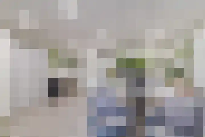 Marotplan 6 Zoetermeer thumbnail 44