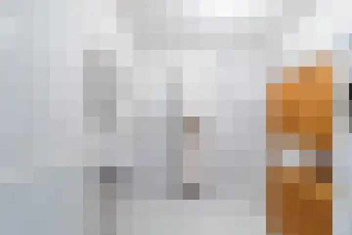 Marotplan 6 Zoetermeer thumbnail 65