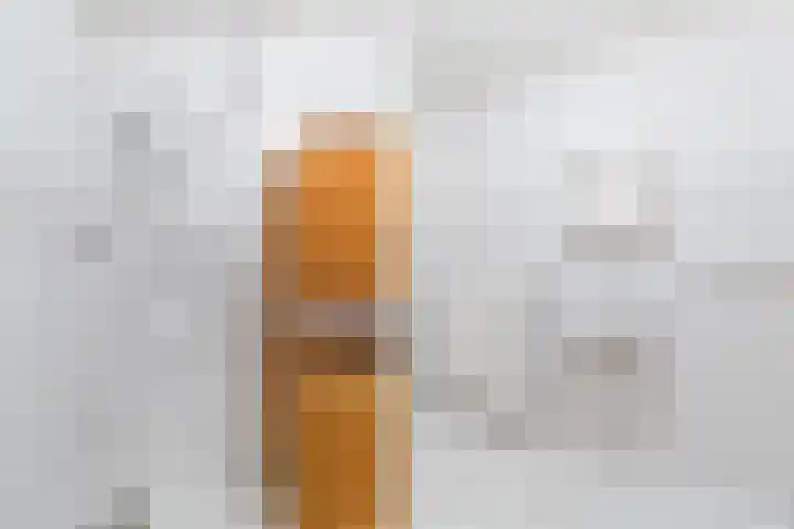 Marotplan 6 Zoetermeer thumbnail 66