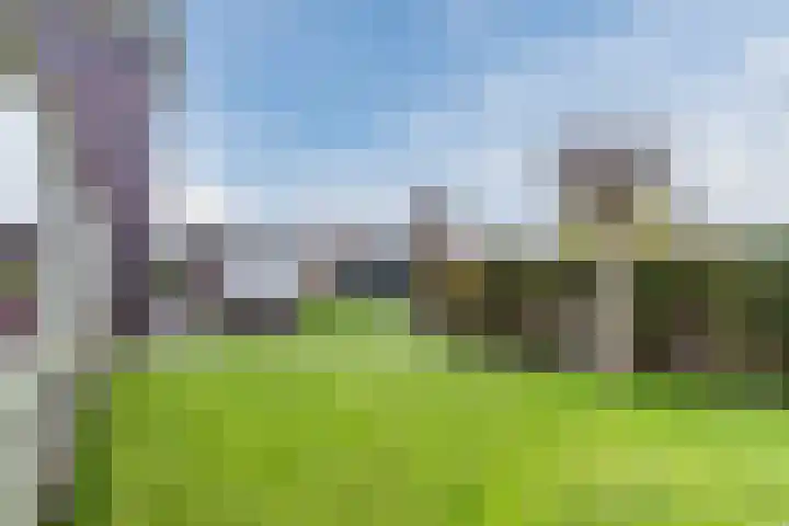Marotplan 6 Zoetermeer thumbnail 73