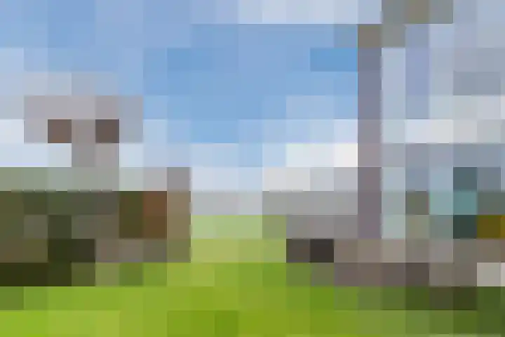 Marotplan 6 Zoetermeer thumbnail 82