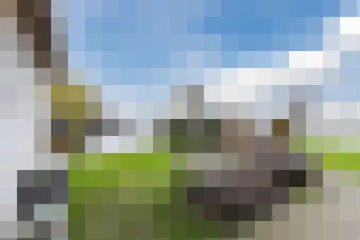 Marotplan 6 Zoetermeer thumbnail 83