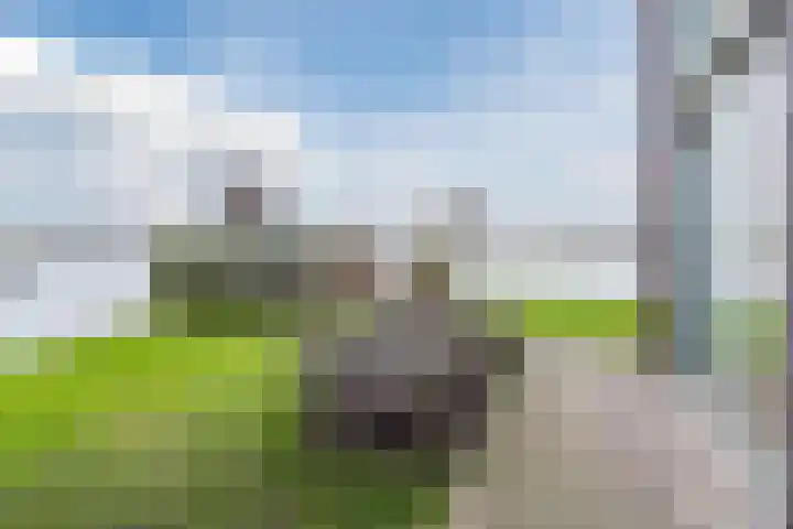 Marotplan 6 Zoetermeer thumbnail 84