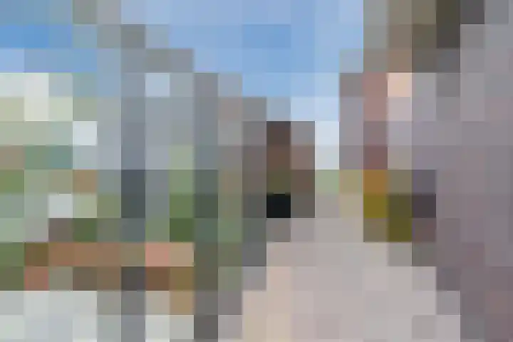 Marotplan 6 Zoetermeer thumbnail 85