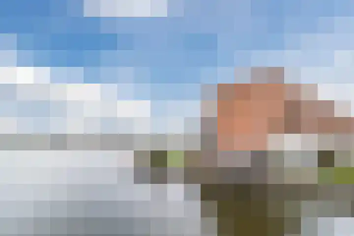 Marotplan 6 Zoetermeer thumbnail 93