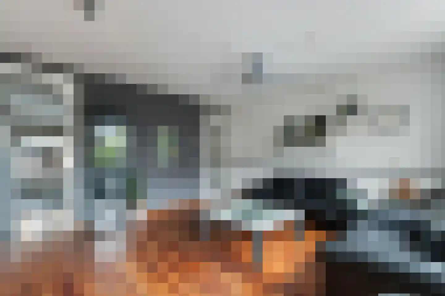 Marowijne 147 Dordrecht thumbnail 11
