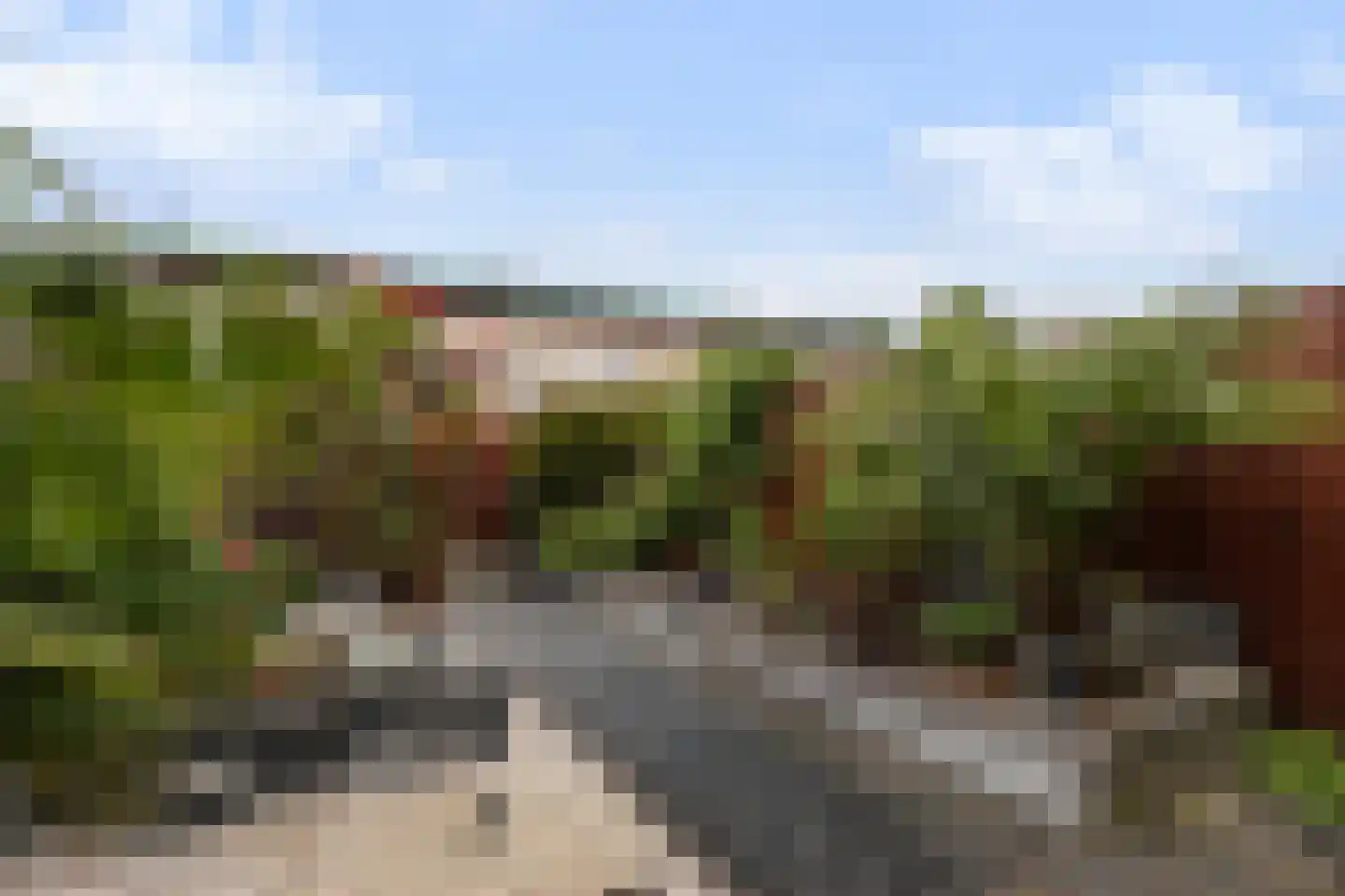 Marowijne 147 Dordrecht thumbnail 4