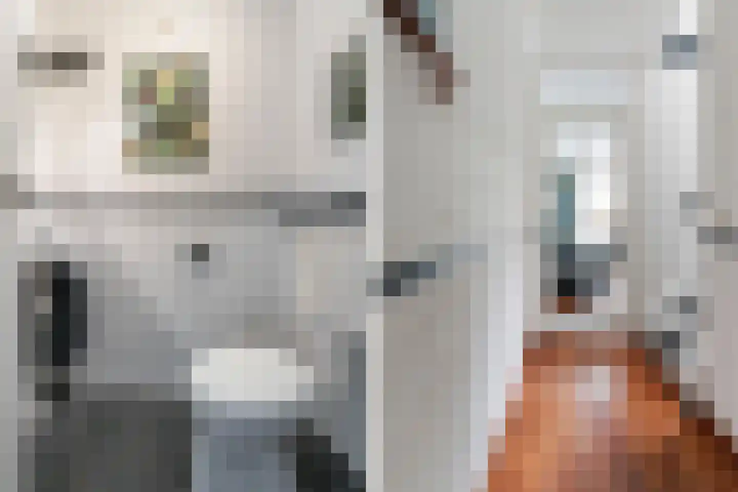 Marowijne 147 Dordrecht thumbnail 8