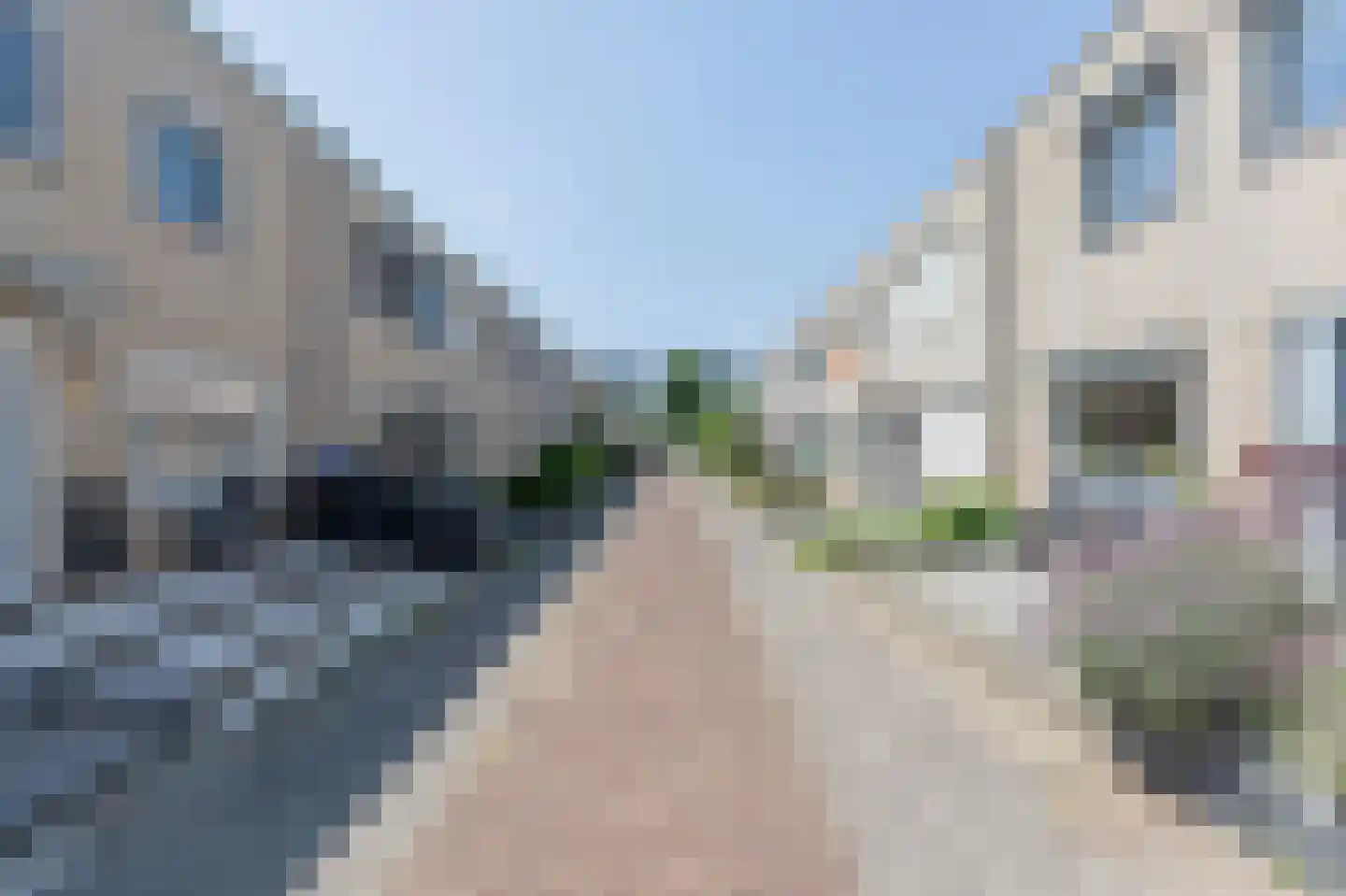 Marowijne 150 Dordrecht thumbnail 35