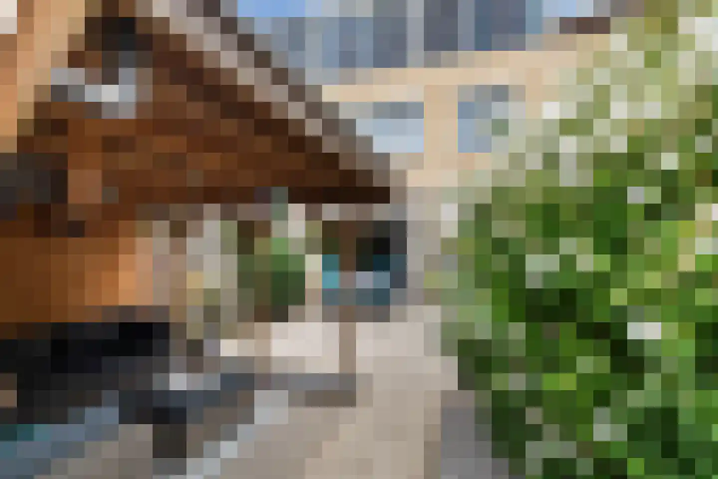Marowijne 44 Dordrecht thumbnail 20