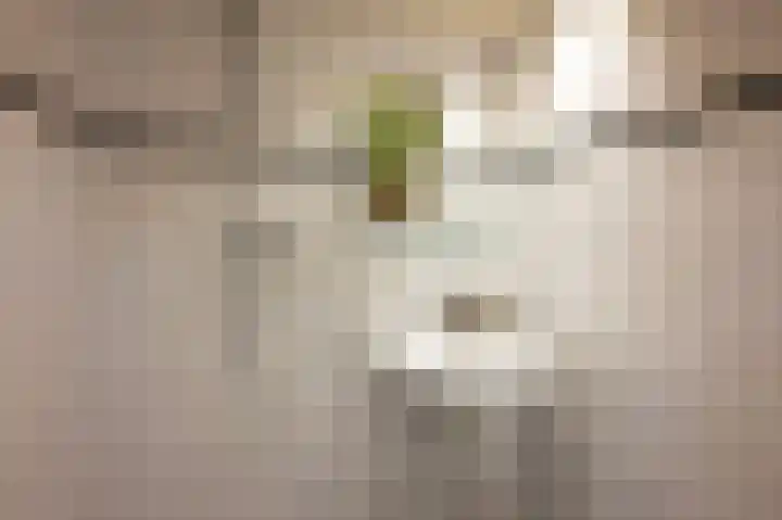 Marowijnedreef 11 Utrecht thumbnail 20