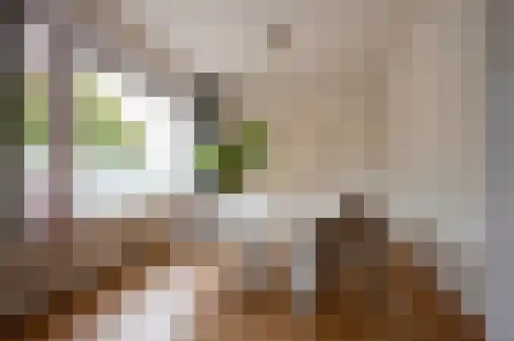 Marowijnedreef 11 Utrecht thumbnail 7