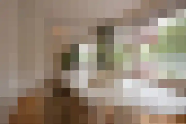 Marowijnedreef 11 Utrecht thumbnail 8
