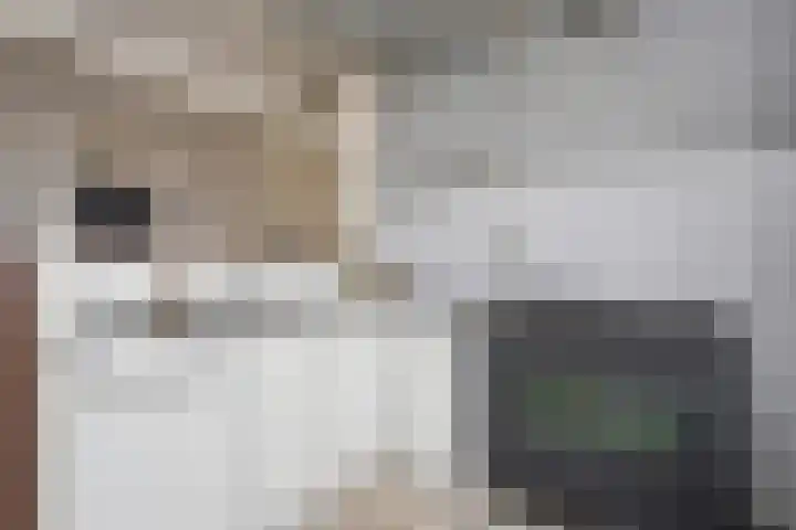 Marowijnedreef 51 Utrecht thumbnail 7