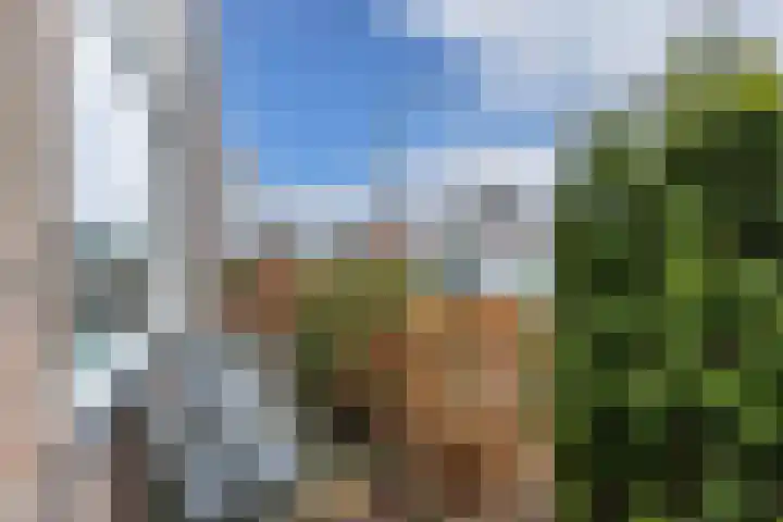 Marowijnestraat 3 Leeuwarden thumbnail 5
