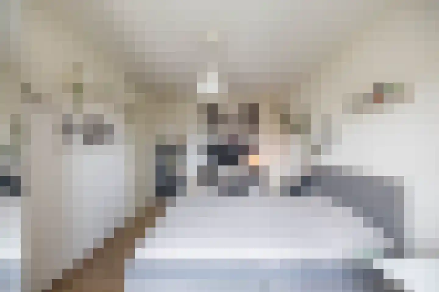 Marowijnestraat 31 Groningen thumbnail 25