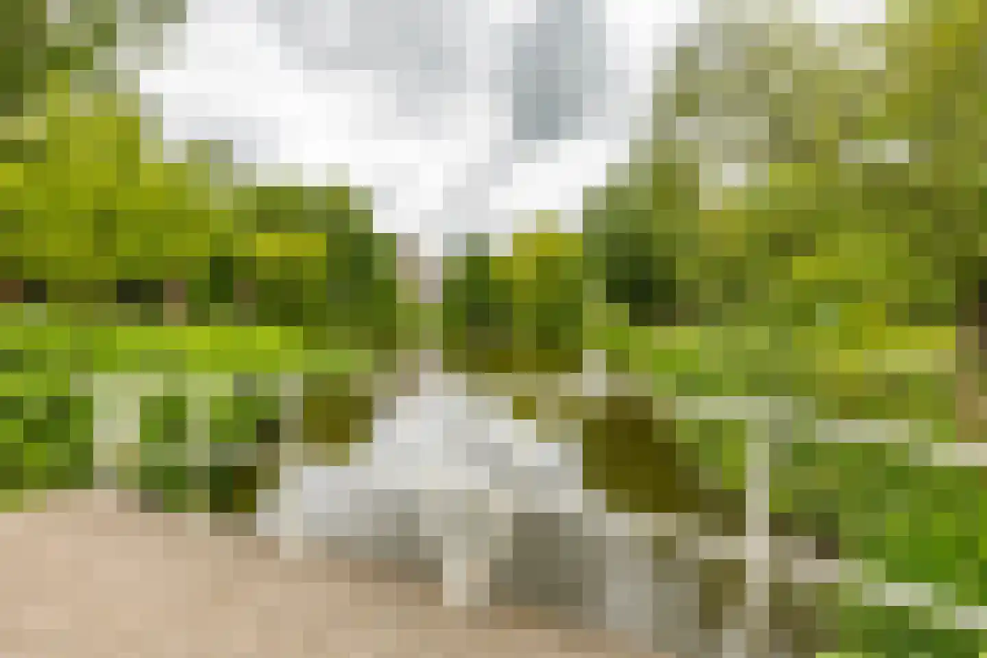 Marowijnestraat 31 Groningen thumbnail 39