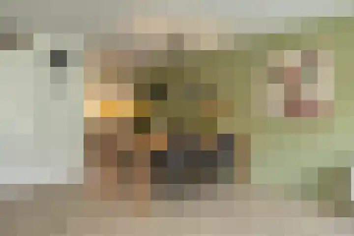 Marowijnestraat 9 Groningen thumbnail 13