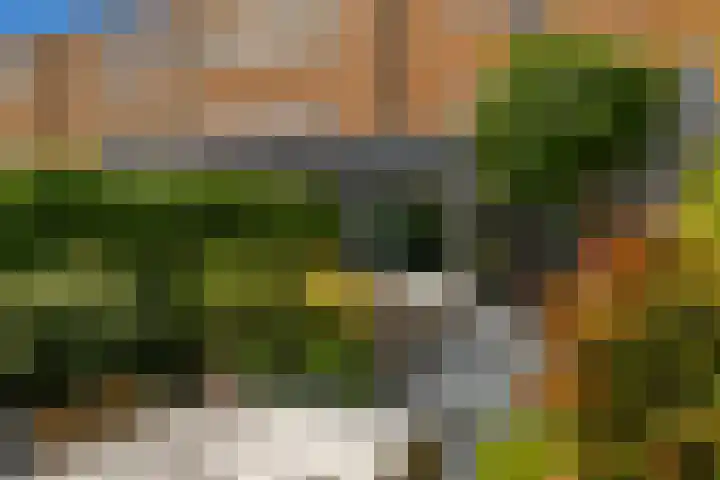 Marowijnestraat 9 Groningen thumbnail 34