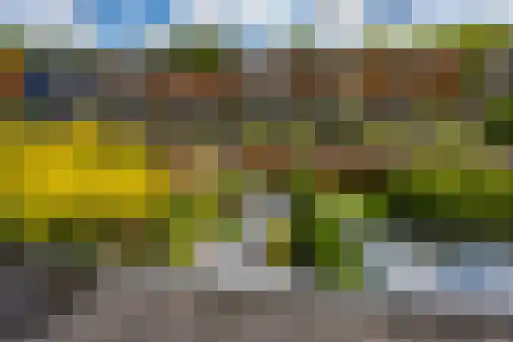 Marowijnestraat 9 Groningen thumbnail 37