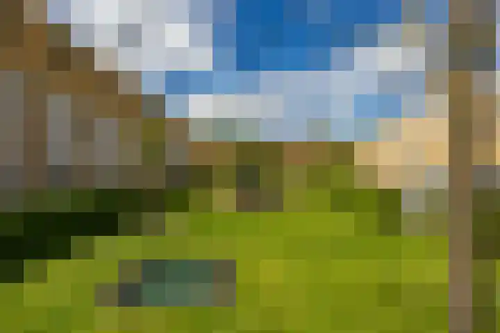 Marowijnestraat 9 Groningen thumbnail 38