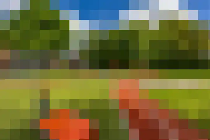 Marowijnestraat 9 Groningen thumbnail 41