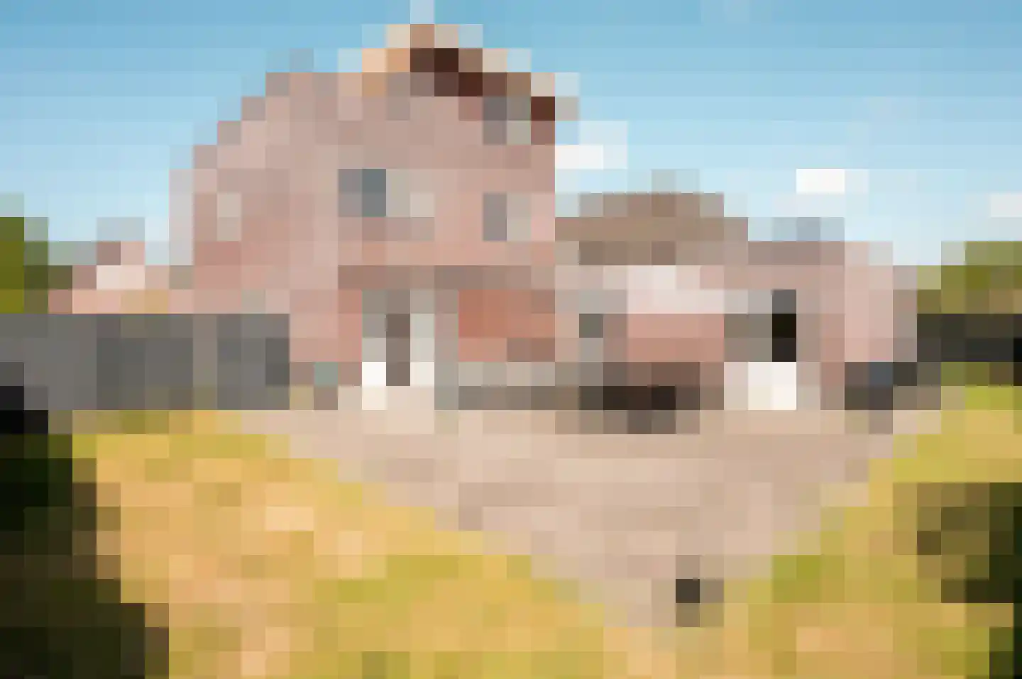 Marquette 7 Lelystad thumbnail 42